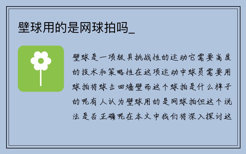 壁球用的是网球拍吗_